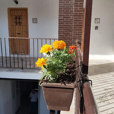 Apartamento San Mateos 15 Jerez de la Frontera