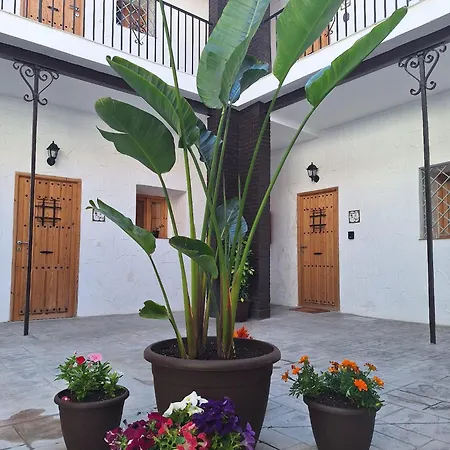 Apartamento San Mateos 15 *